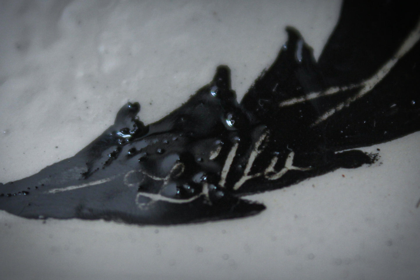 Ceramic Snake Dish - Mystical and Unique Crafts
