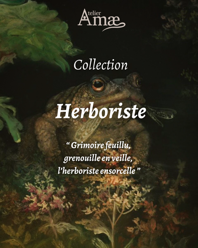 Collection Herboriste