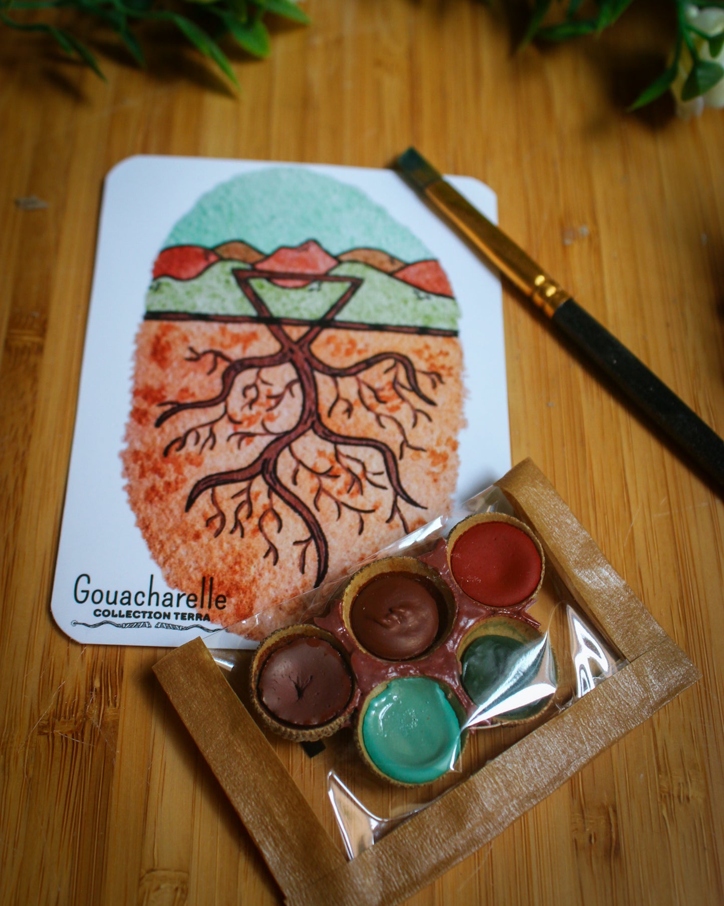 Coffret Gouacharelle X Atelier Amæ